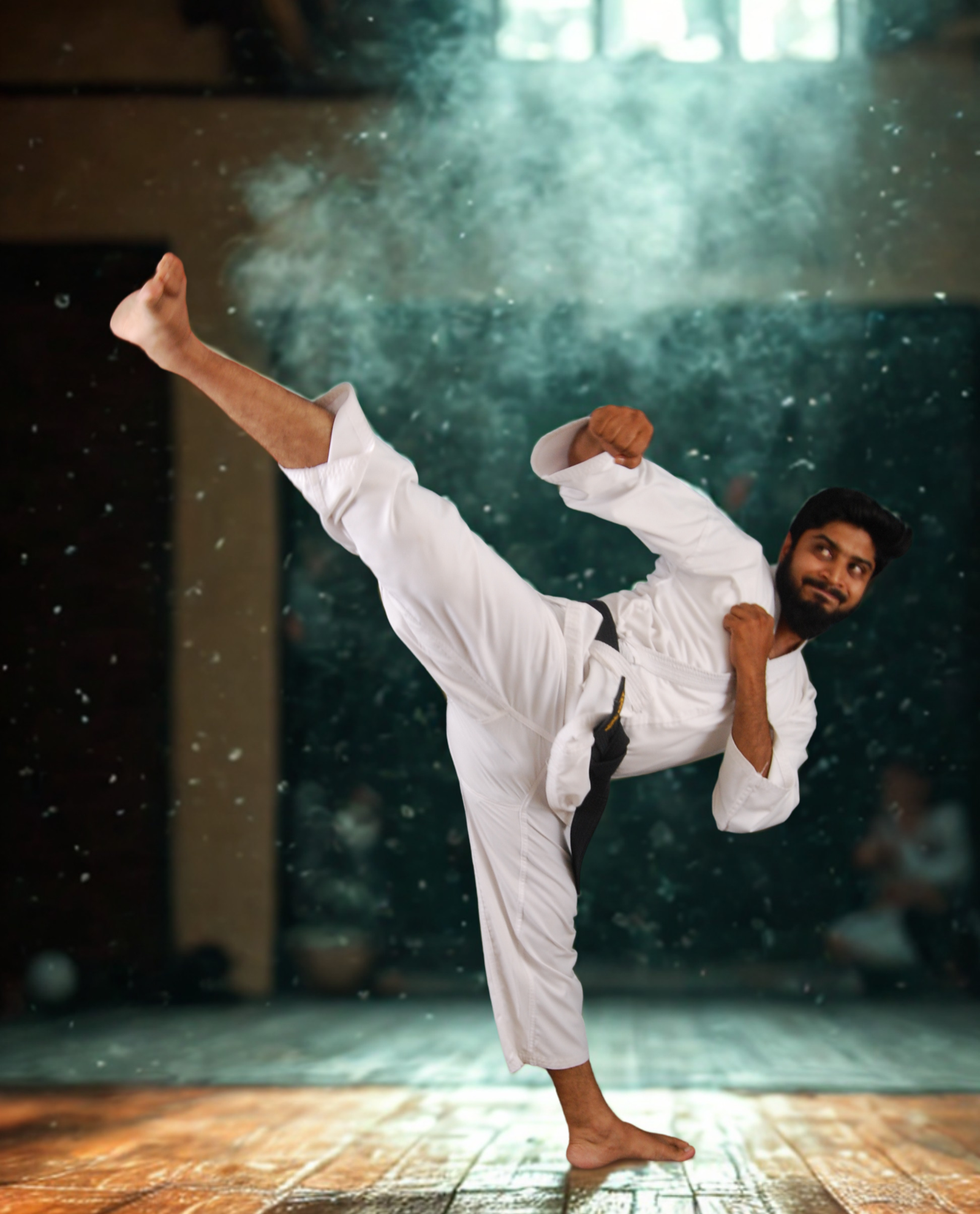 karate kick1